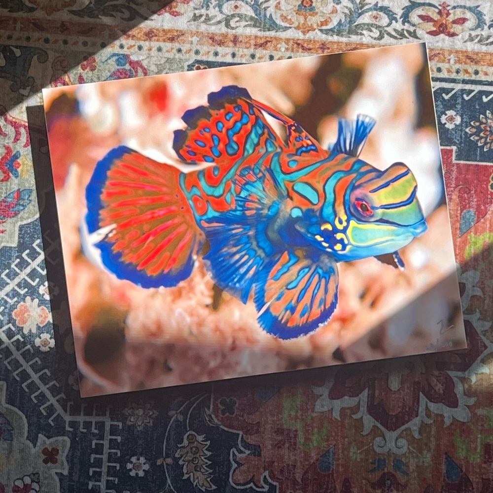 Exotic Tropical Mandarin Gobi Fish Lithography